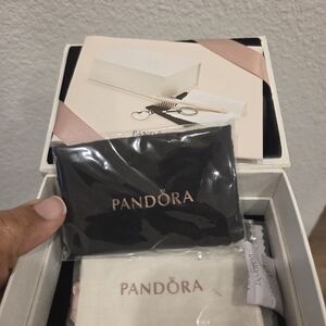 Pandora Jewelry Cleaning Kit Accessories